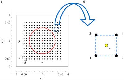 Characterization of Atrial Propagation Patterns and Fibrotic Substrate With a Modified Omnipolar Electrogram Strategy in Multi-Electrode Arrays